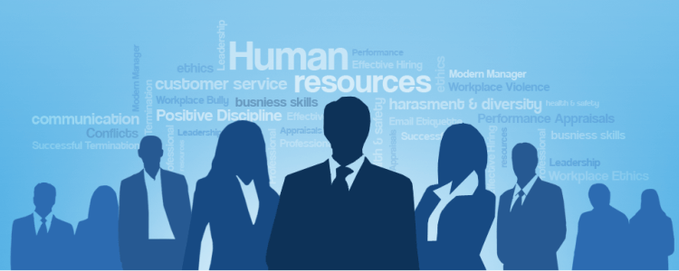 human resource management software - online hr software